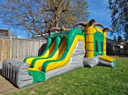 Desert Oasis Combo w/ Double Lane Slide