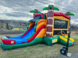 06078c08 475a 4eb0 8af2 874de549c300 1738360118 Palm Tree Combo #1