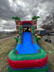 34bffe8a a6c1 414b b301 a0d5ae12ad2a 1738360118 Palm Tree Combo #1