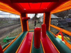 c9ffa43d 75ec 410e a5e1 9efad6cccf22 1738360118 Palm Tree Combo #1